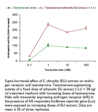 synergy-between-testosterone-and-eucommia-ulmoide.jpg