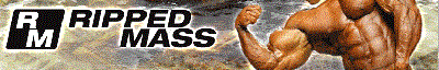 RippedMass.com - Large interactive uncensored bodybuilding website targeting beginners and intermediate athletes.